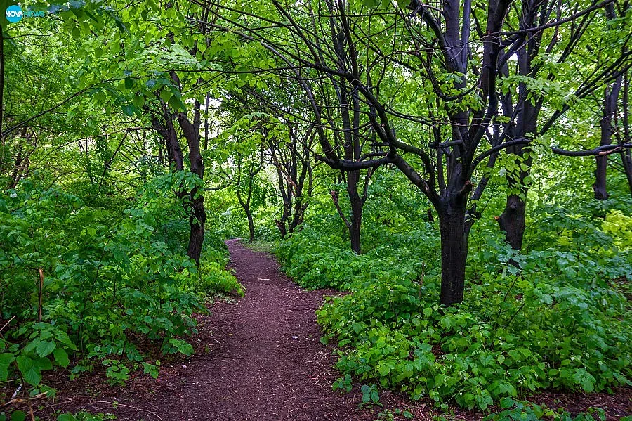 МРРБ: Нямаме правомощия да отменяме решения на местните власти