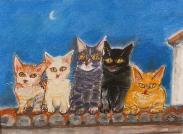 Котките на Айнур в София