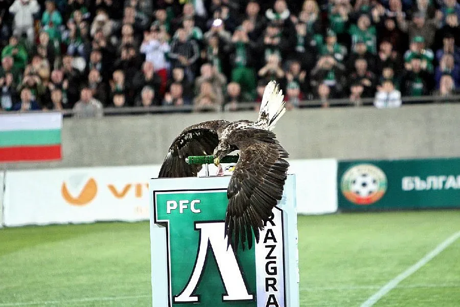 300 души ще викат за "орлите" в Пилзен