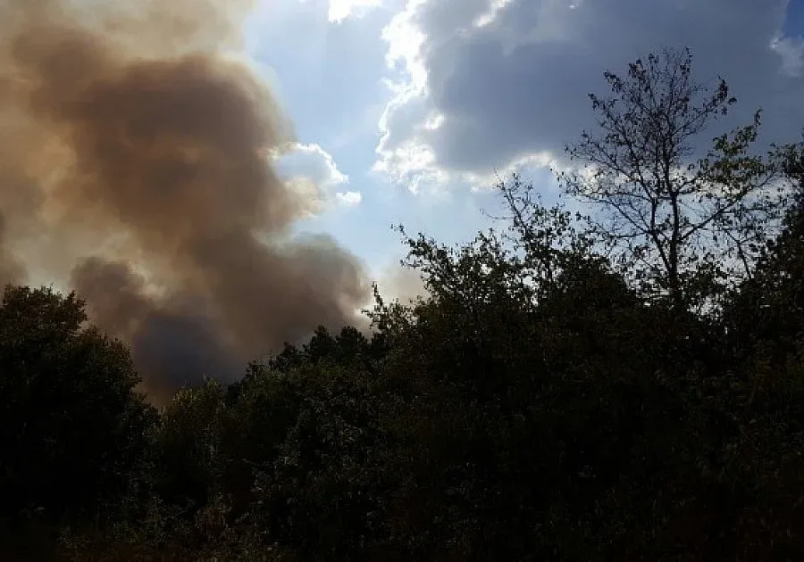 Затвориха пътя Харманли-Маджарово заради пожар