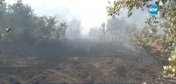 Задържаха мъж заради пожара в Сакар