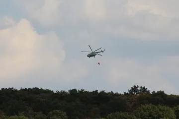 Пожарът в Сакар планина унищожи 5 000 дка гора