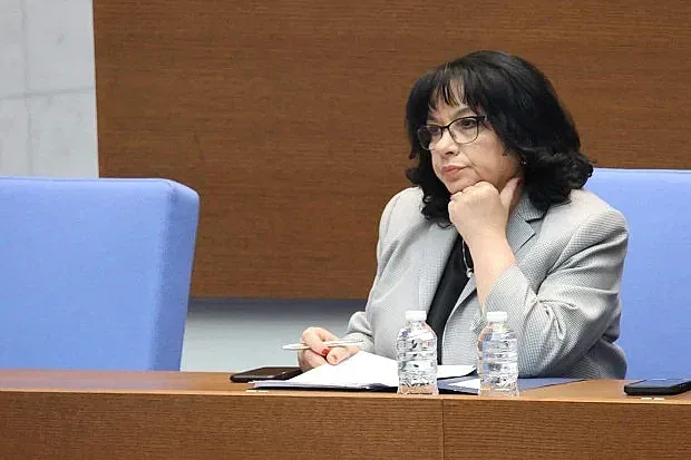 Теменужка Петкова се произнесе за бюджета. Ще видим ли еврозона