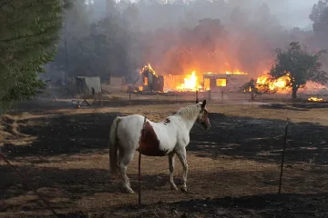Огън и потоп поразиха САЩ