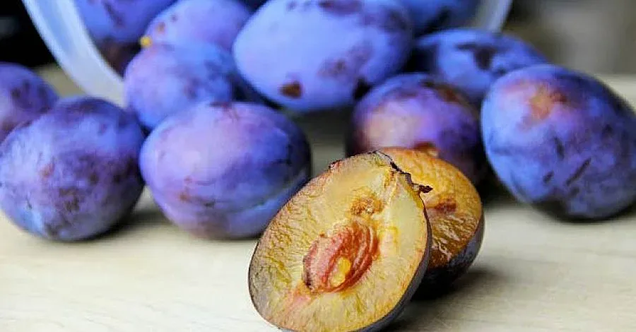 Откриха над 1,5 тона крадени сливи в две ромски къщи