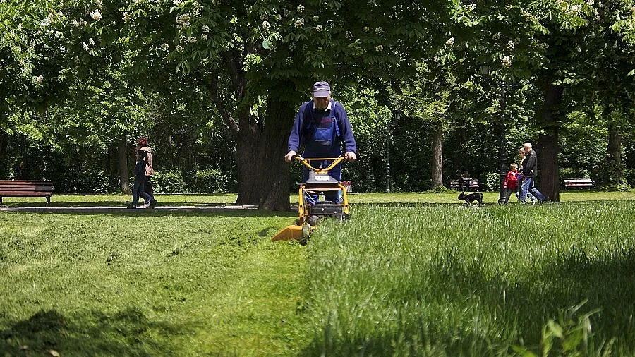 Кабинетът  търси спец по рози и гербери 