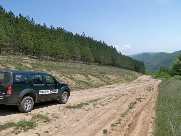 Граничари заловиха 13 нелегални мигранти