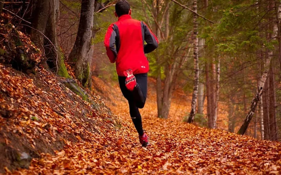 Бегачи и колоездачи се състезават до връх Руен