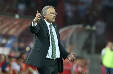 Домусчиев:  Явно телешкото е деликатес за тях