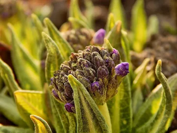 Слънчев четвъртък