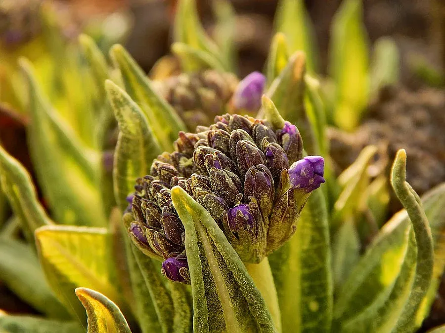 Слънчев четвъртък