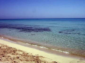 Поморие се къпе в "Море от вино"