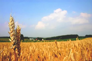 Повече пари за ферми до 30 ха