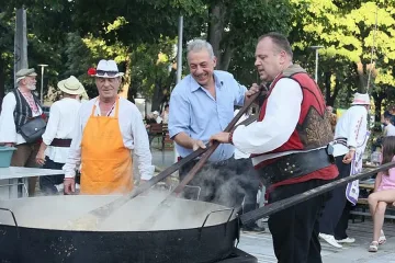 Музика и юнашки тиган на "Дунавски вълни"