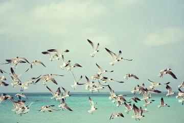 Жегата продължава