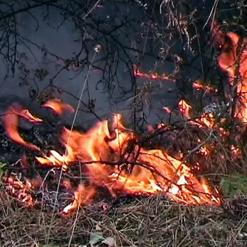 Пожарът край Ардино е локализиран
