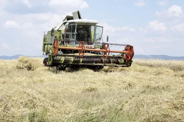 Неизвестен открадна около 4 т зърно