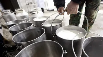 Данъчни спряха вноса на 6 тона козе мляко