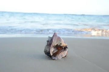 Живакът скача до 37° в неделя