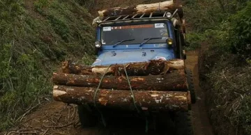 Спипаха горски да продава дърва