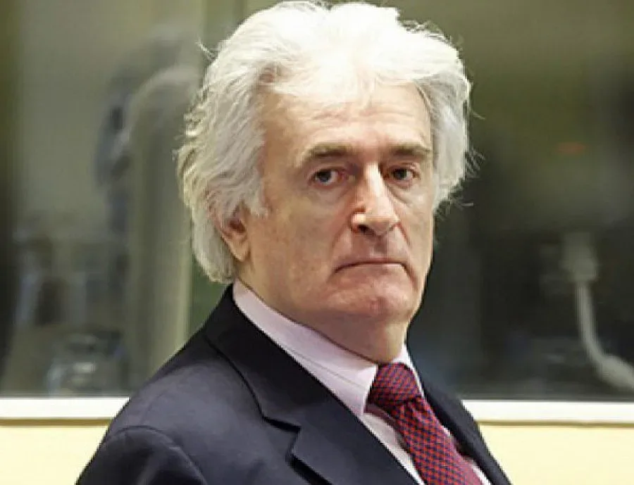  Караджич обжалва присъдата за геноцид