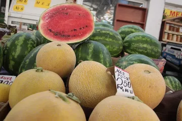 Динята е универсален лек в големите жеги