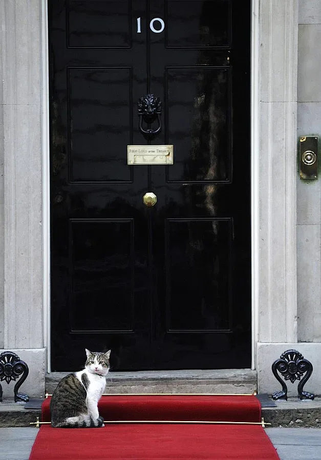 Лари живее царски на Даунинг стрийт