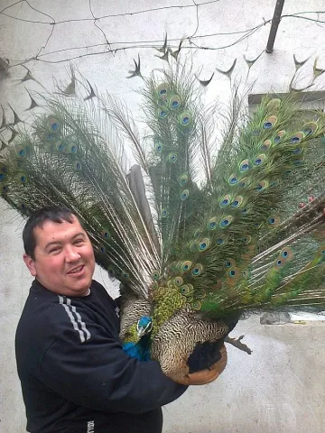 Съветник събира уникални птици