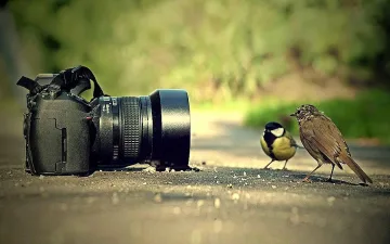 Фотоапарат заснема изгарянето на неврони