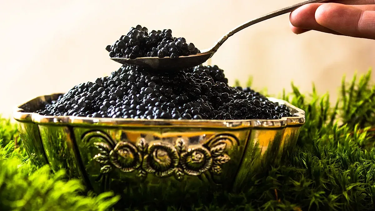 За "златото" на България! Има желаещи от Япония и Малдивите