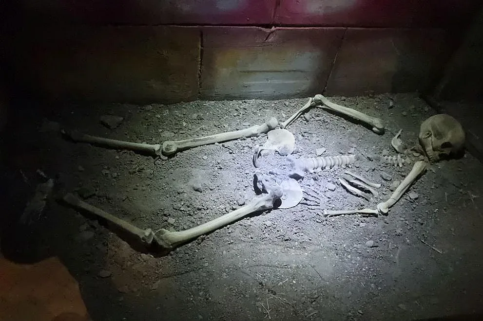 Чудо в Сливен. Възкресиха уникалната Калояновска гробница /СНИМКИ/