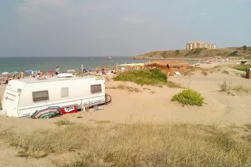 Дете намери мъртво делфинче на плажа "Корал"