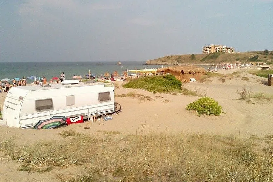 Дете намери мъртво делфинче на плажа "Корал"