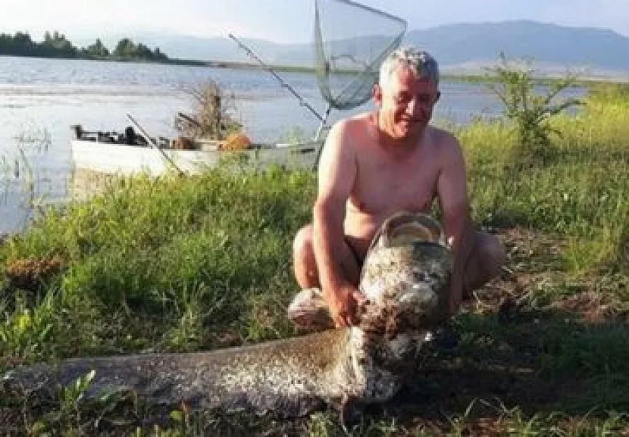 Лекар улови сом за "Гинес"