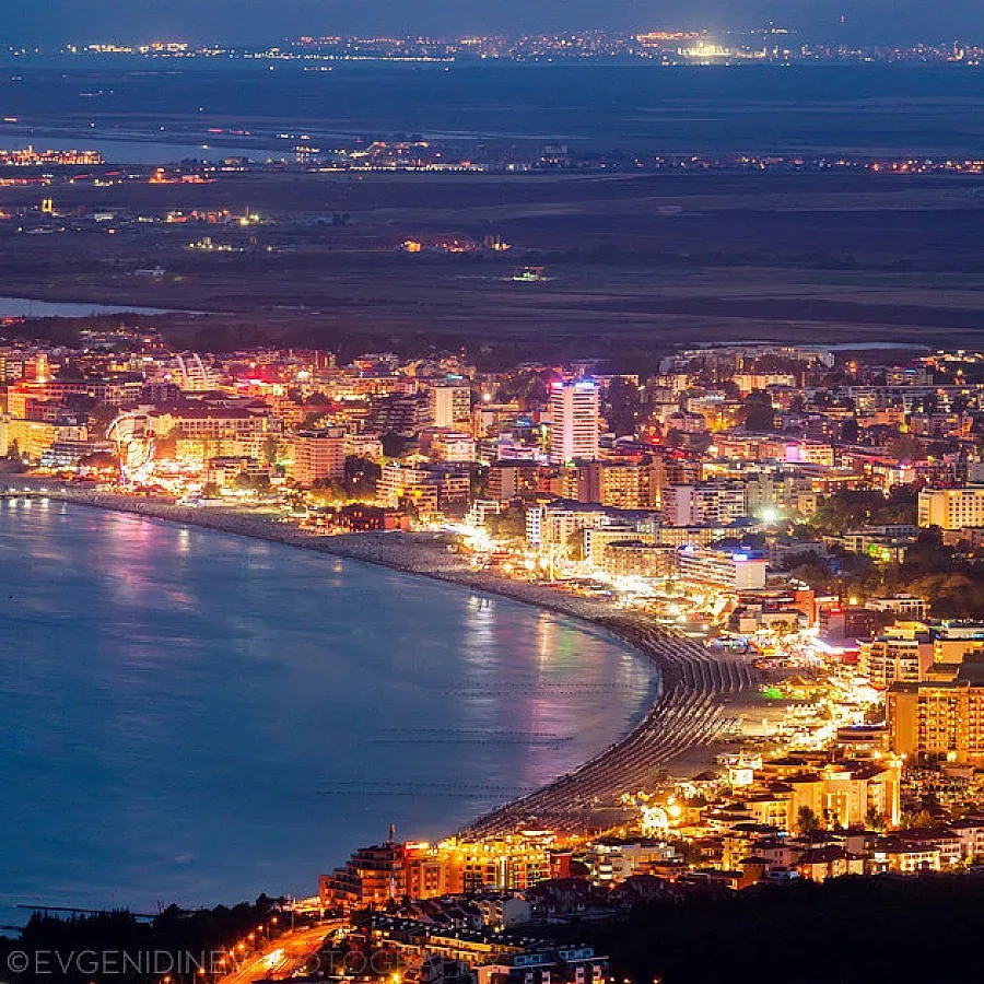 3 бона глоба за селфи с маймуна