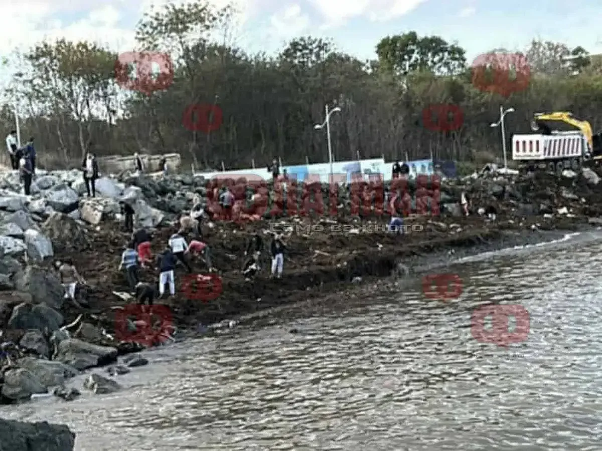 Морето край Царево завря от столевки. Чудо невиждано /ВИДЕО/