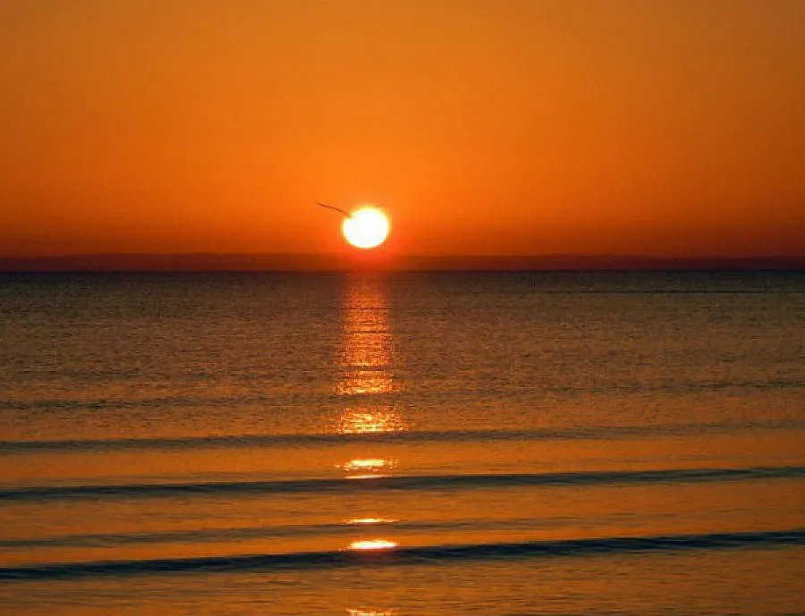 Надежда и любов с първите лъчи на Джулай морнинг