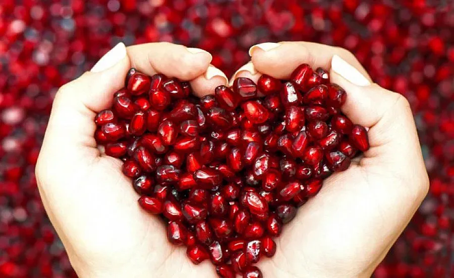 Здравето има висока цена