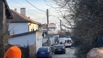 Първи подробности коя е майката, заклала двете си деца