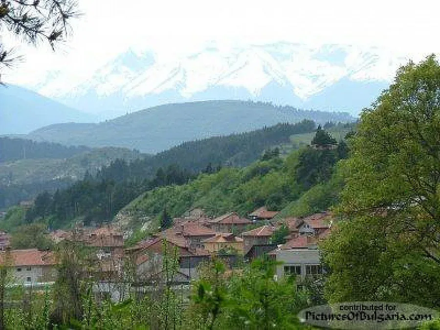 Рок на село помага на болни от диабет
