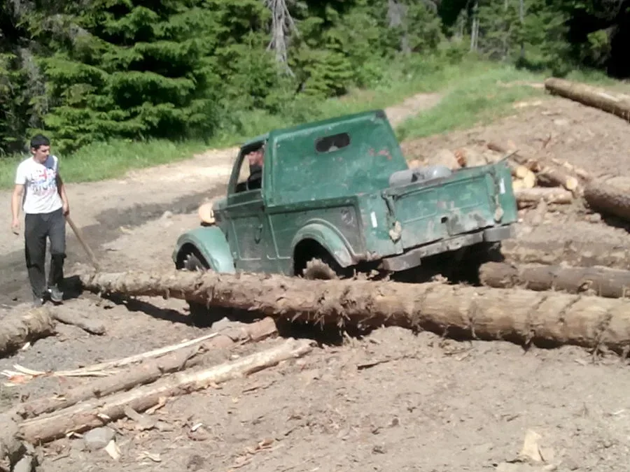 Спряха кражба на над 50 кубика дървесина