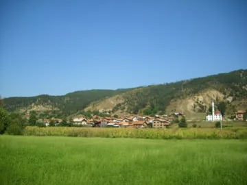 Няма достатъчно гъбари, износът пада