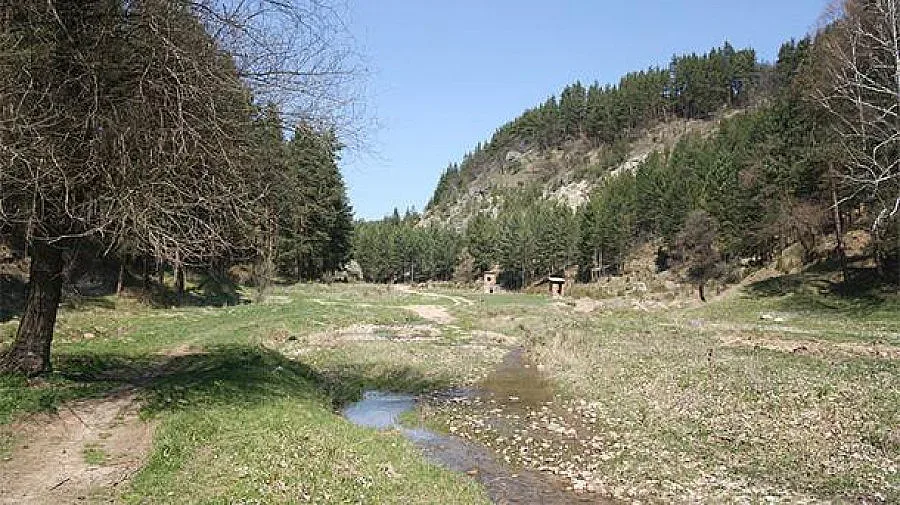 Намериха Станимир, избягал заради шамари