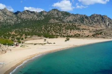 Фалшива истерия за  бежанци до Резово 