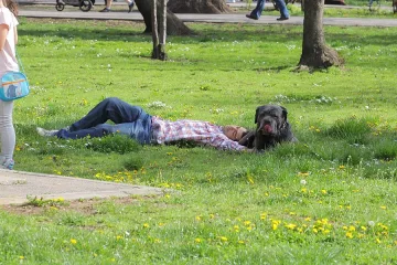 До 35°градуса в сряда