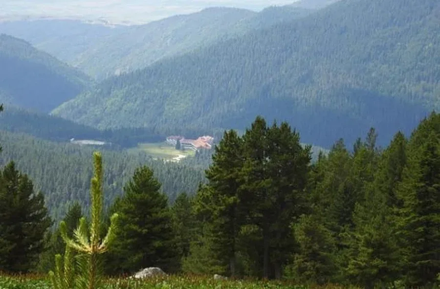 Белица иска земята в курорта Семково