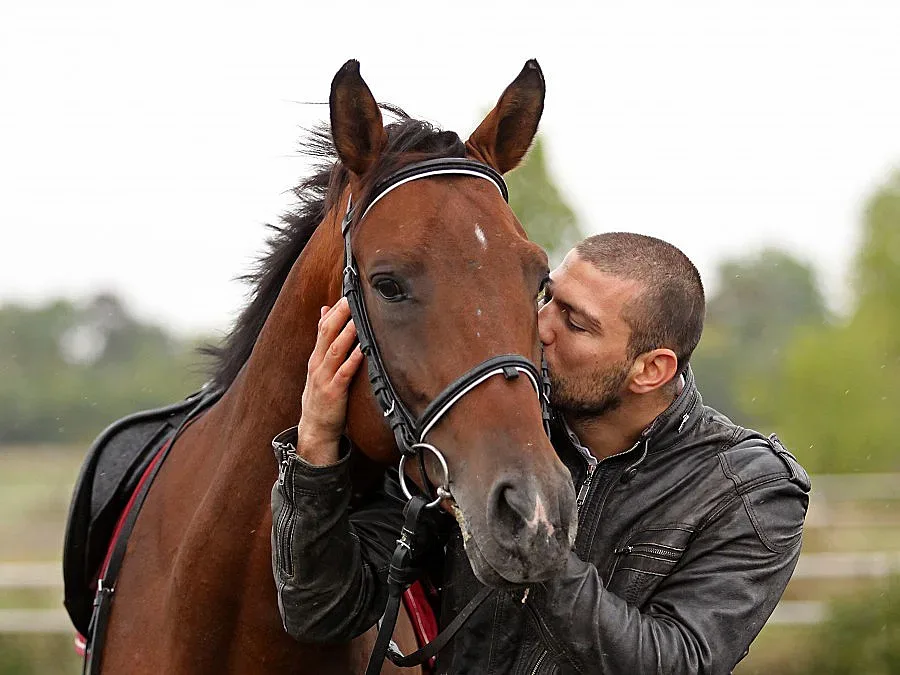 И конят ми Недко е шампион