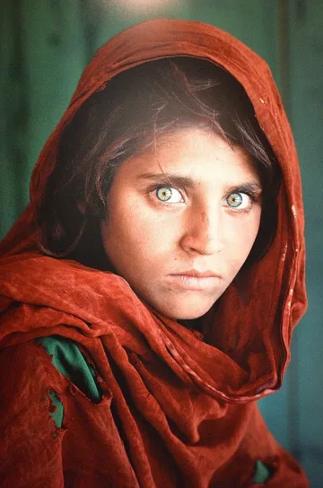 Снимки, които разплакват