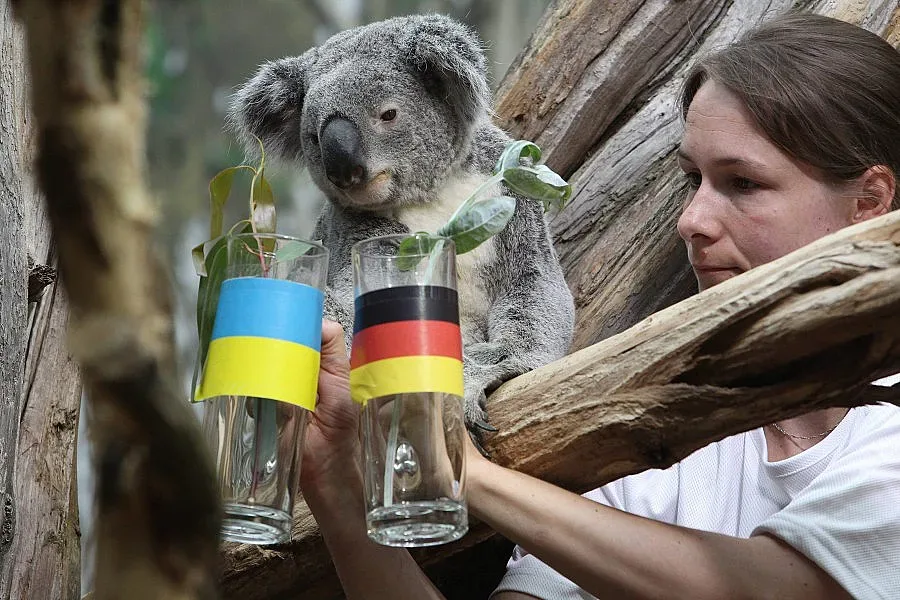 Украйна разчита на коала срещу немците