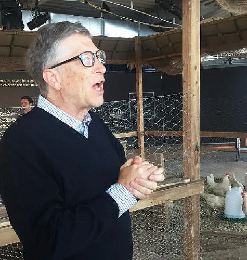 Бил Гейтс ще бори бедността с пилета